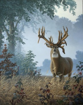 whitetail on morning Oil Paintings